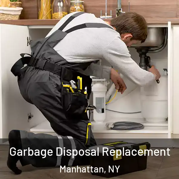  Garbage Disposal Replacement Manhattan, NY