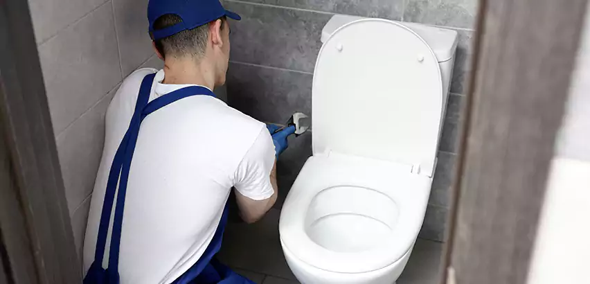 Toilet Lid Replacement in Manhattan
