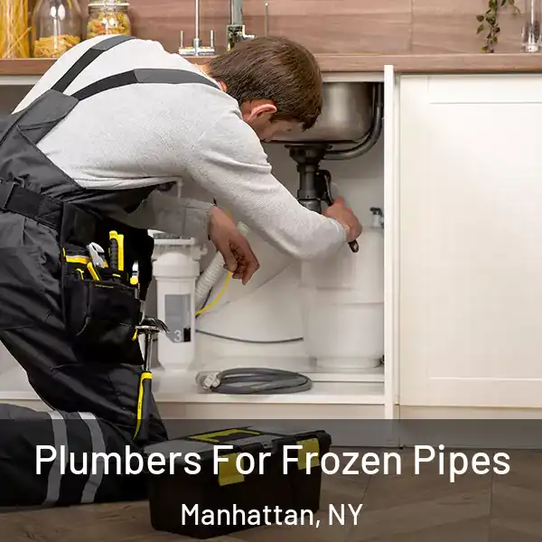  Plumbers For Frozen Pipes Manhattan, NY