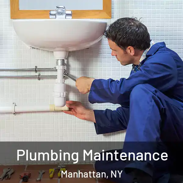  Plumbing Maintenance Manhattan, NY