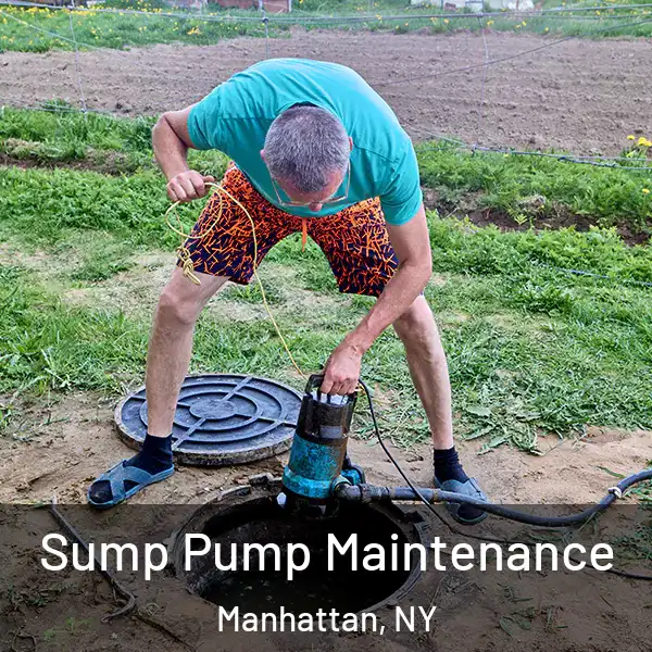  Sump Pump Maintenance Manhattan, NY