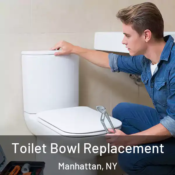  Toilet Bowl Replacement Manhattan, NY