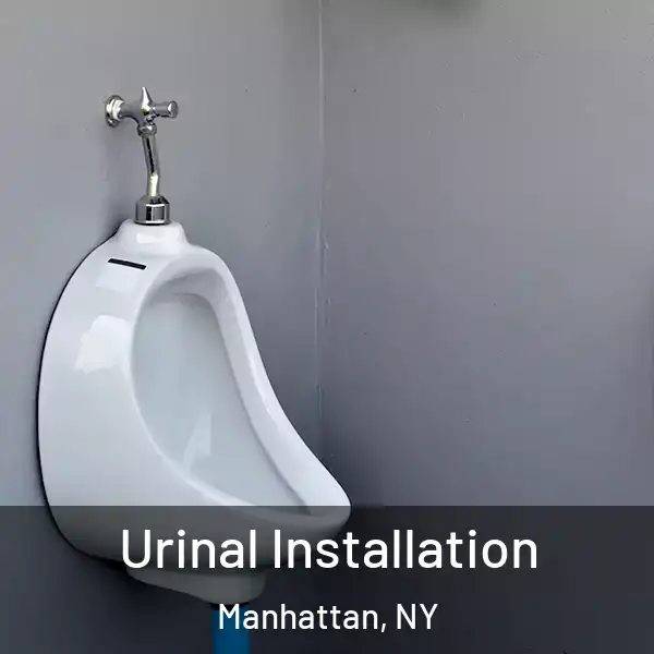  Urinal Installation Manhattan, NY
