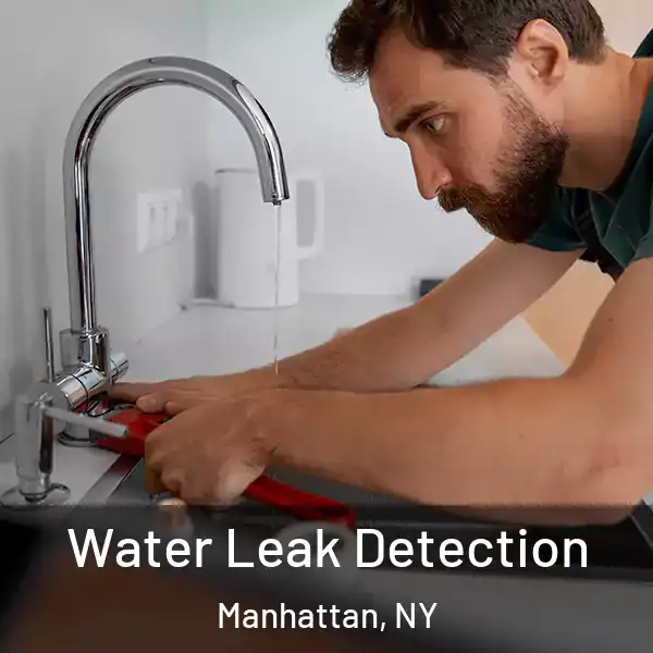  Water Leak Detection Manhattan, NY